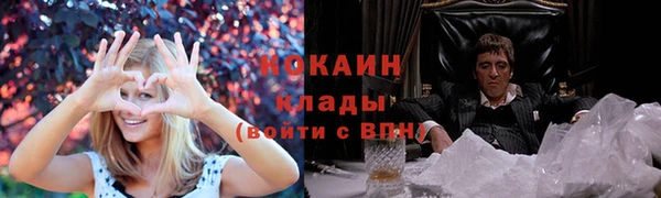 ГАЛЛЮЦИНОГЕННЫЕ ГРИБЫ Абаза