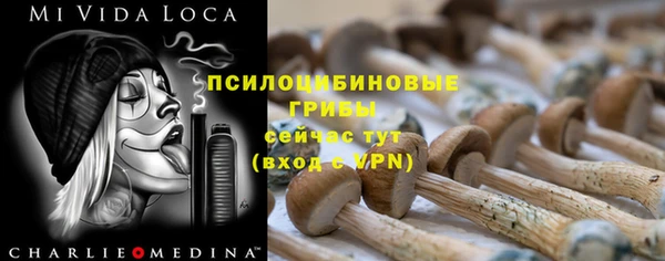экстази Гусь-Хрустальный