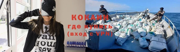 гашик Снежногорск