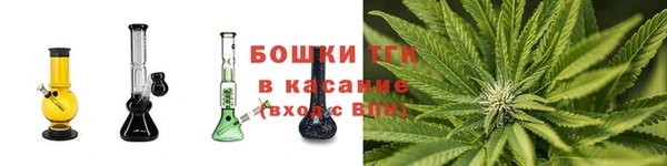 ГАЛЛЮЦИНОГЕННЫЕ ГРИБЫ Абаза