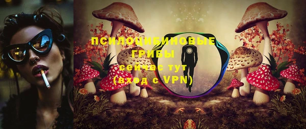 стаф Абдулино