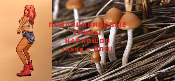 ГАЛЛЮЦИНОГЕННЫЕ ГРИБЫ Абаза