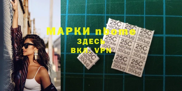 гашик Снежногорск