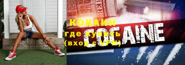 гашик Снежногорск