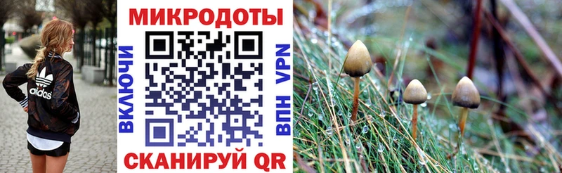 Галлюциногенные грибы мухоморы  Галич 